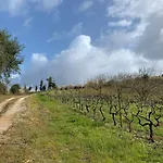 Stunning In - Near Golf & Obidos